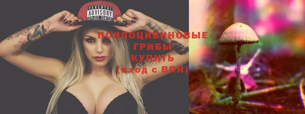 не бодяженный Верхний Тагил